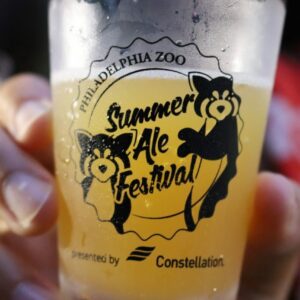 summer ale fest